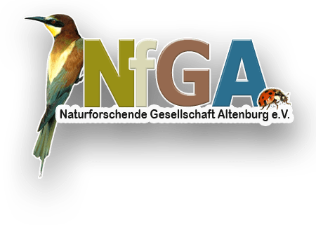 nfga_logo_450
