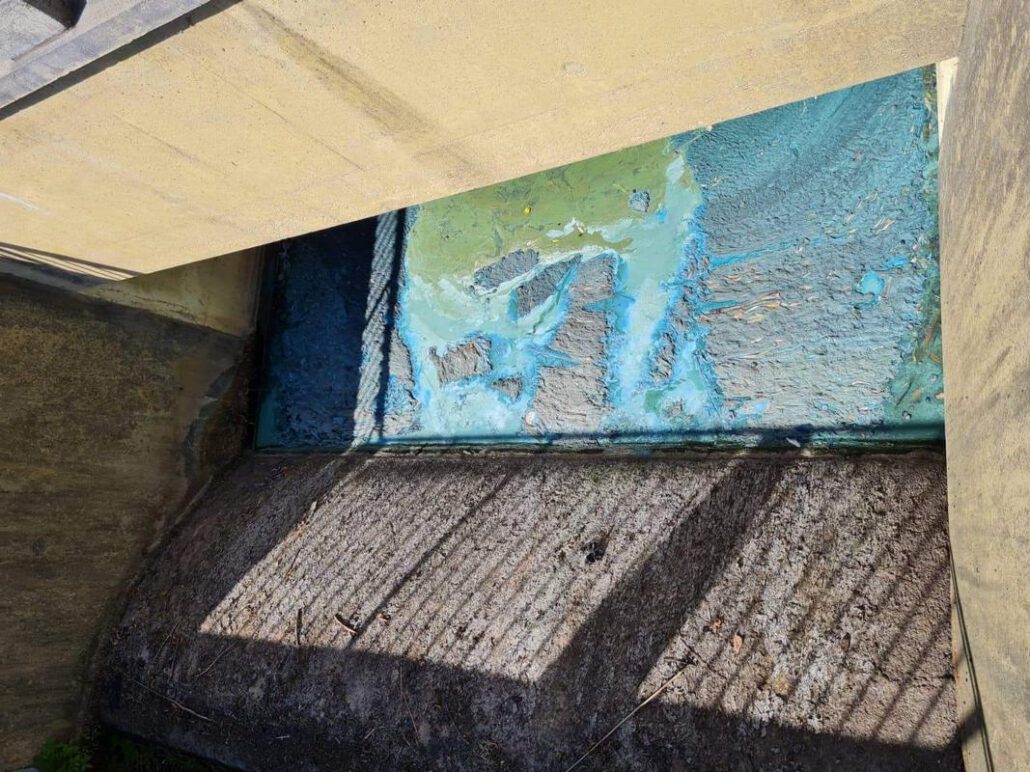 Blaualgen im Überlauf zwischen Kleinem und Großen Teich am 24.07.2022 (Foto: M.Jessat).