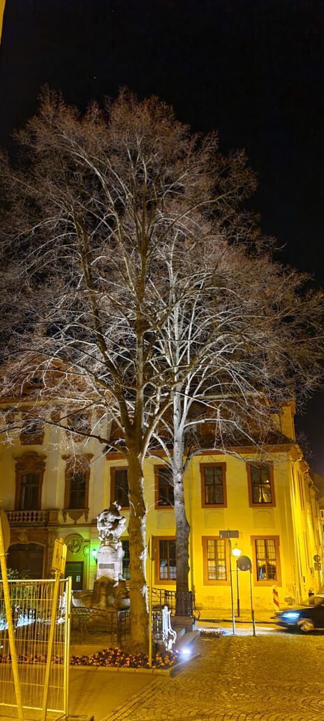 Weißlichtsünden in Altenburg 