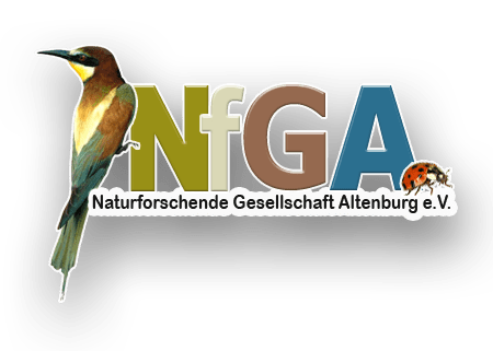 nfga_logo_450xx